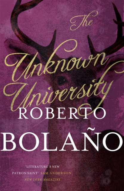 The Unknown University, Paperback / softback Book