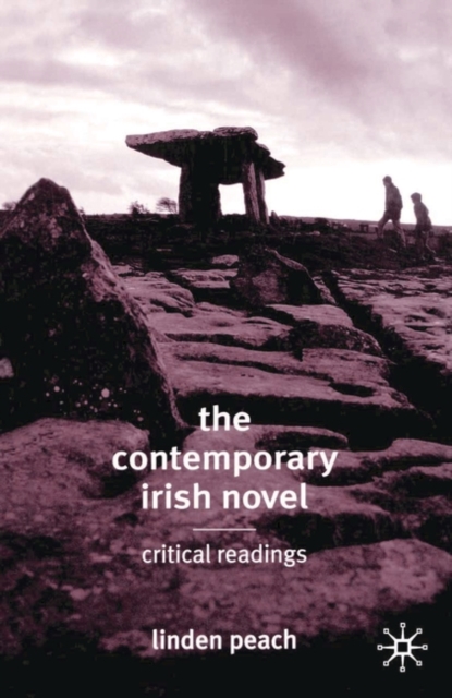 The Contemporary Irish Novel : Critical Readings, Paperback / softback Book