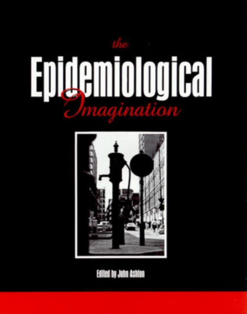 The Epidemiological Imagination, Paperback / softback Book