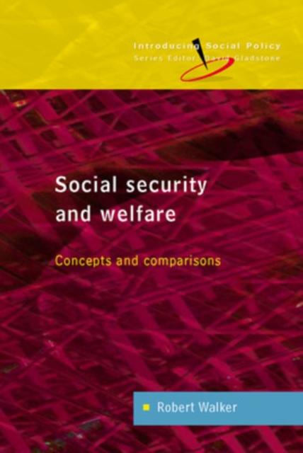 Social Security and Welfare: Concepts and Comparisons, PDF eBook