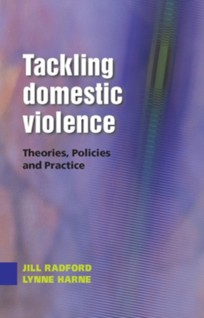 Tackling Domestic Violence: Theories, Policies and Practice, PDF eBook