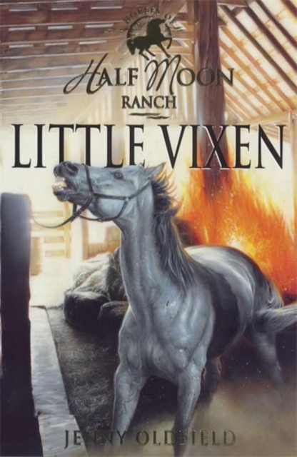 Horses of Half Moon Ranch: Little Vixen : Book 10, Paperback / softback Book