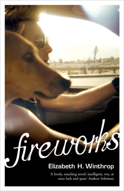 Fireworks, Paperback / softback Book