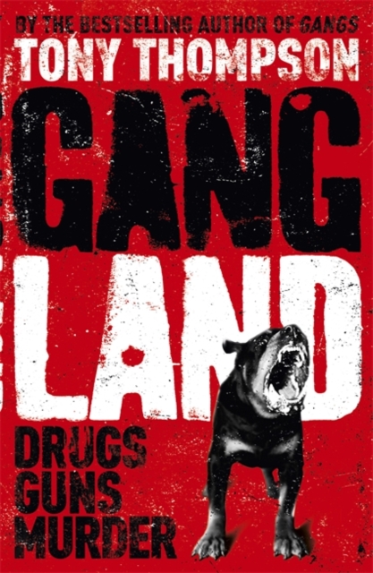 Gang Land : From footsoldiers to kingpins, the search for Mr Big, Paperback / softback Book
