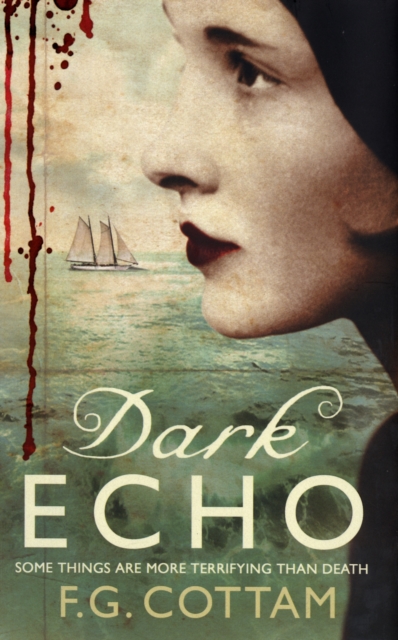 Dark Echo, Hardback Book