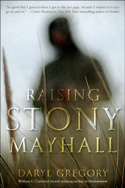 Raising Stony Mayhall, Paperback / softback Book