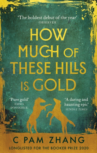 How Much of These Hills is Gold :  A tale of two sisters during the gold rush   beautifully written  The i, Best Books of the Year, EPUB eBook