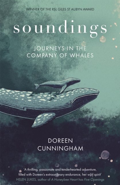 Soundings : Journeys in the Company of Whales, Hardback Book
