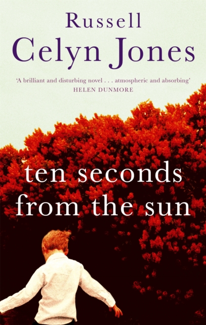 Ten Seconds From The Sun, Paperback / softback Book