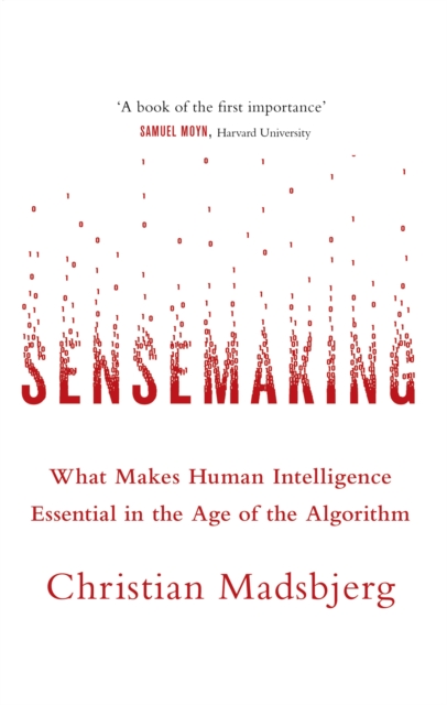Sensemaking : What Makes Human Intelligence Essential in the Age of the Algorithm, Paperback / softback Book