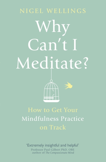 Why Can't I Meditate? : how to get your mindfulness practice on track, EPUB eBook