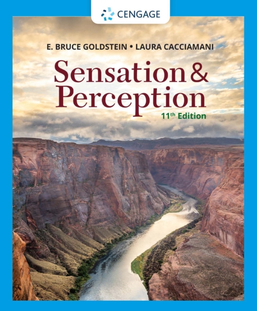 Sensation and Perception, PDF eBook
