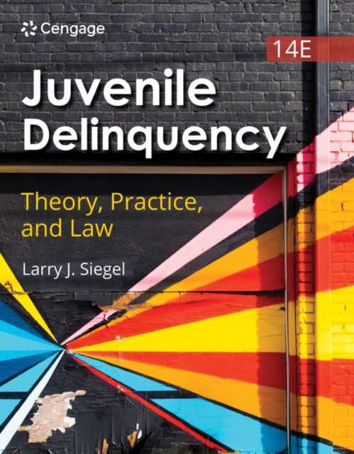 Juvenile Delinquency: Theory, Practice, and Law, Paperback / softback Book
