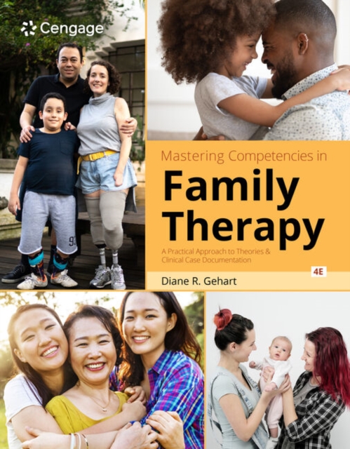 Mastering Competencies in Family Therapy: A Practical Approach to Theories and Clinical Case Documentation, Paperback / softback Book