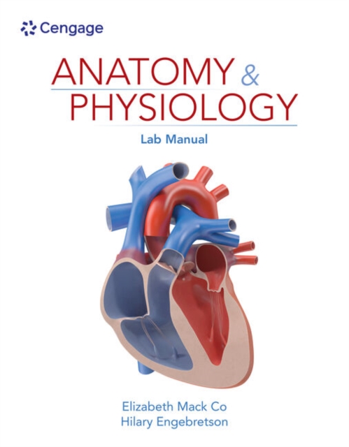 Anatomy & Physiology Lab Manual, Spiral bound Book