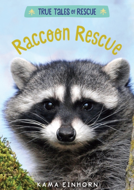 Raccoon Rescue, EPUB eBook