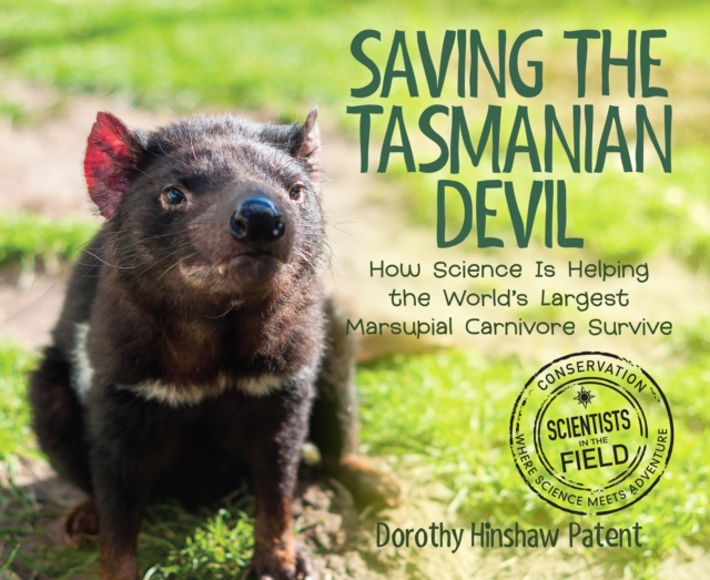 Saving the Tasmanian Devil : How Science Is Helping the World's Largest Marsupial Carnivore Survive, EPUB eBook