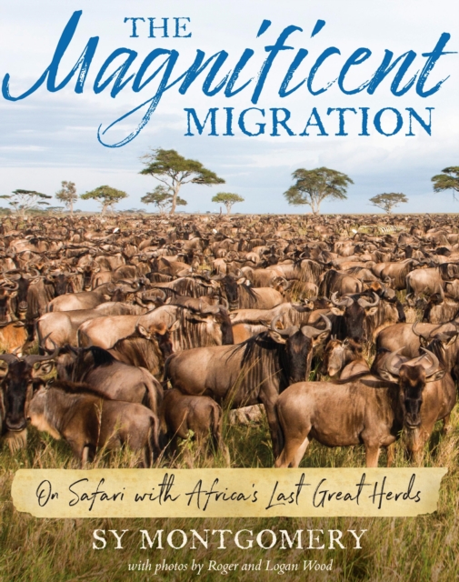 The Magnificent Migration : On Safari with Africa's Last Great Herds, EPUB eBook