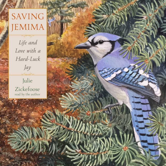 Saving Jemima, eAudiobook MP3 eaudioBook
