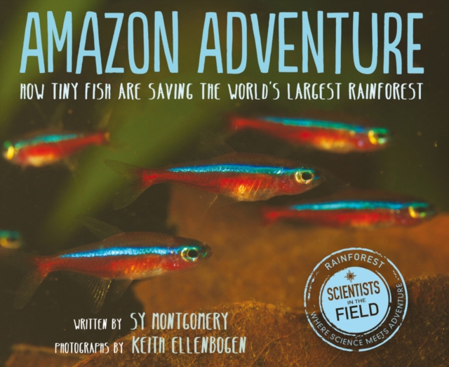 Amazon Adventure: How Tiny Fish Are Saving the World's Largest Rainforest, Paperback / softback Book