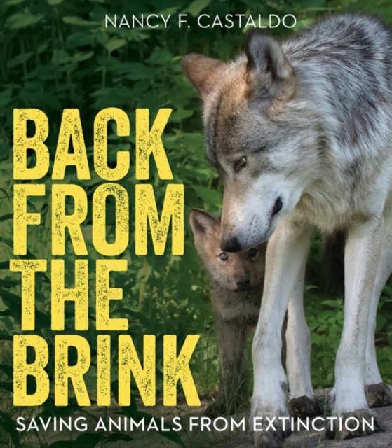 Back from the Brink : Saving Animals from Extinction, Paperback / softback Book