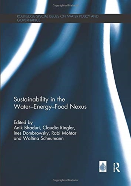 Sustainability in the Water-Energy-Food Nexus, Paperback / softback Book