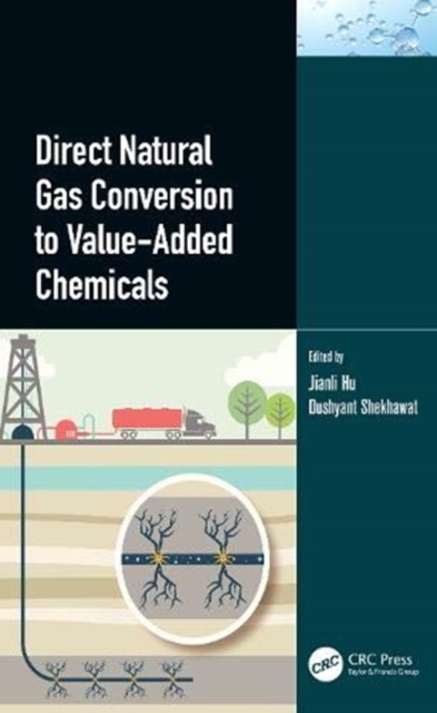 Direct Natural Gas Conversion to Value-Added Chemicals, Hardback Book