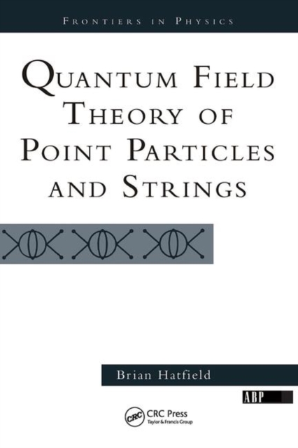 Quantum Field Theory Of Point Particles And Strings, Hardback Book
