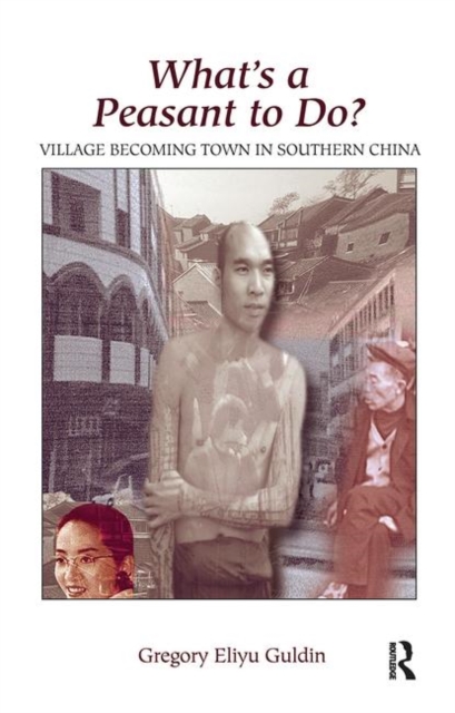 What's A Peasant To Do? Village Becoming Town In Southern China, Hardback Book