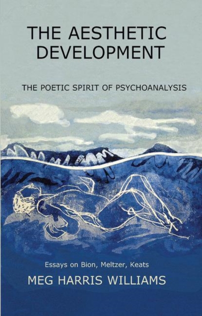 The Aesthetic Development : The Poetic Spirit of Psychoanalysis: Essays on Bion, Meltzer, Keats, Hardback Book