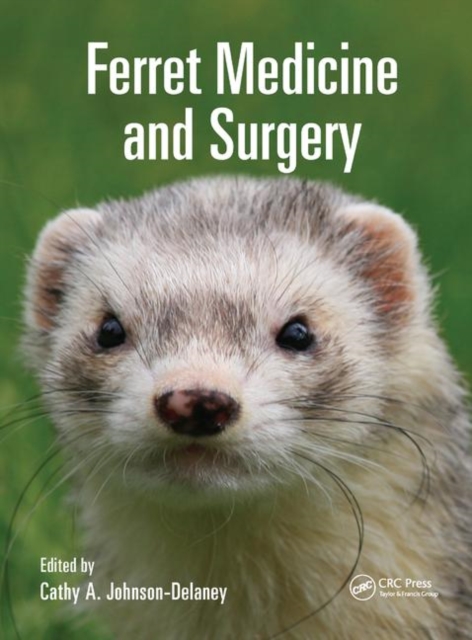 Ferret Medicine and Surgery, Paperback / softback Book