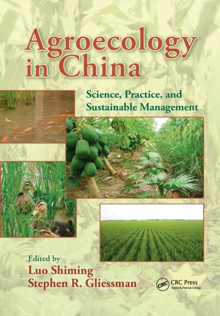 Agroecology in China : Science, Practice, and Sustainable Management, Paperback / softback Book