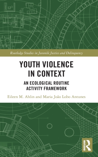 Youth Violence in Context : An Ecological Routine Activity Framework, Hardback Book