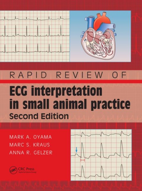 Rapid Review of ECG Interpretation in Small Animal Practice, Paperback / softback Book