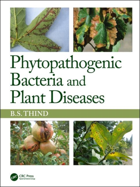 Phytopathogenic Bacteria and Plant Diseases, Hardback Book