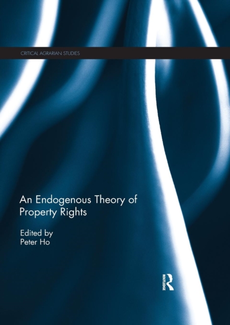An Endogenous Theory of Property Rights, Paperback / softback Book