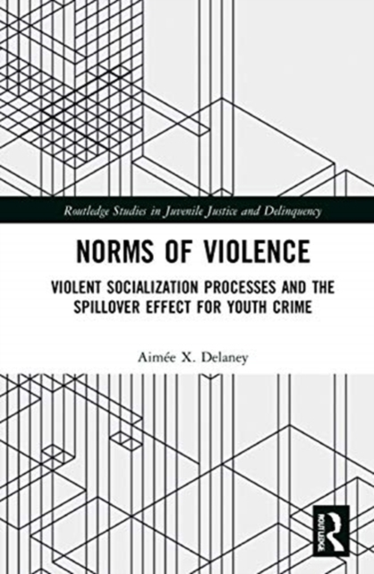 Norms of Violence : Violent Socialization Processes and the Spillover Effect for Youth Crime, Hardback Book