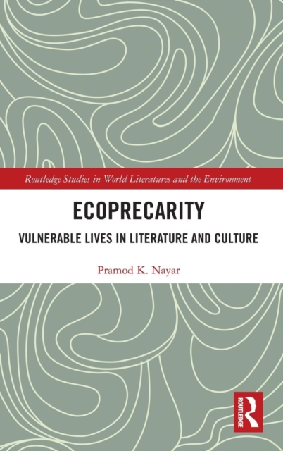 Ecoprecarity : Vulnerable Lives in Literature and Culture, Hardback Book