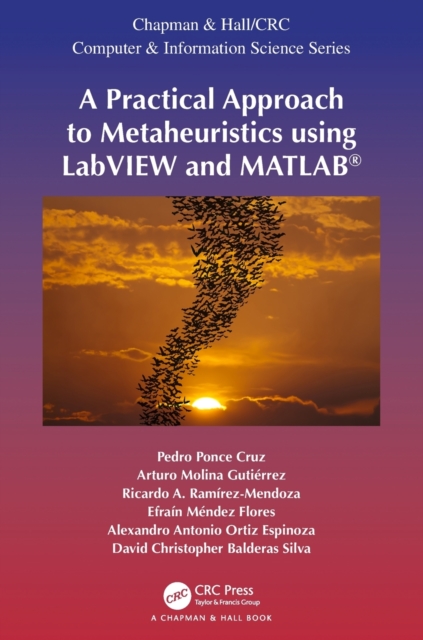 A Practical Approach to Metaheuristics using LabVIEW and MATLAB®, Paperback / softback Book