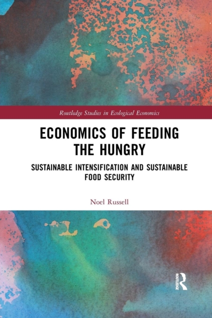 Economics of Feeding the Hungry : Sustainable Intensification and Sustainable Food Security, Paperback / softback Book