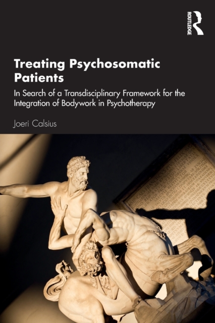 Treating Psychosomatic Patients : In Search of a Transdisciplinary Framework for the Integration of Bodywork in Psychotherapy, Paperback / softback Book