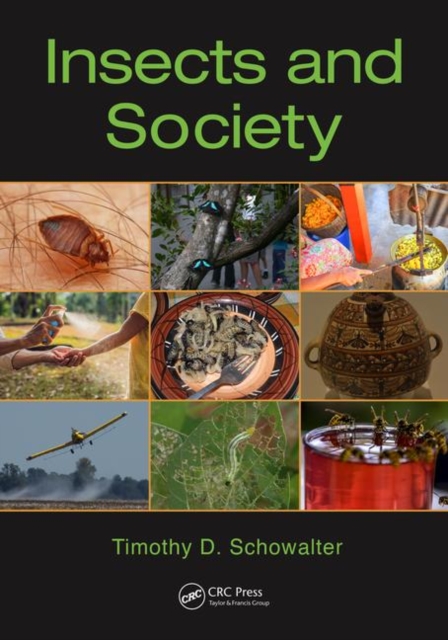 Insects and Society, Paperback / softback Book