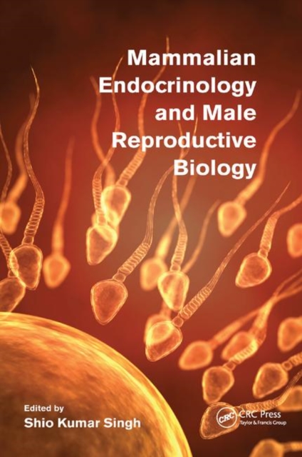 Mammalian Endocrinology and Male Reproductive Biology, Paperback / softback Book