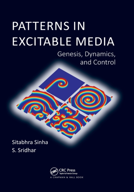 Patterns in Excitable Media : Genesis, Dynamics, and Control, Paperback / softback Book
