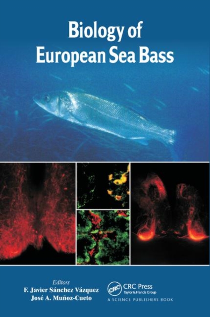 Biology of European Sea Bass, Paperback / softback Book