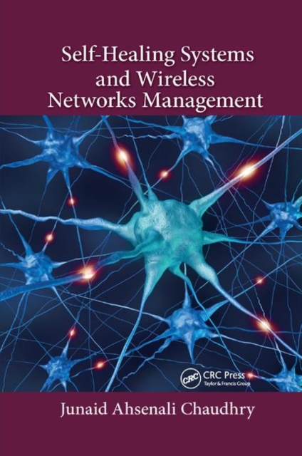 Self-Healing Systems and Wireless Networks Management, Paperback / softback Book