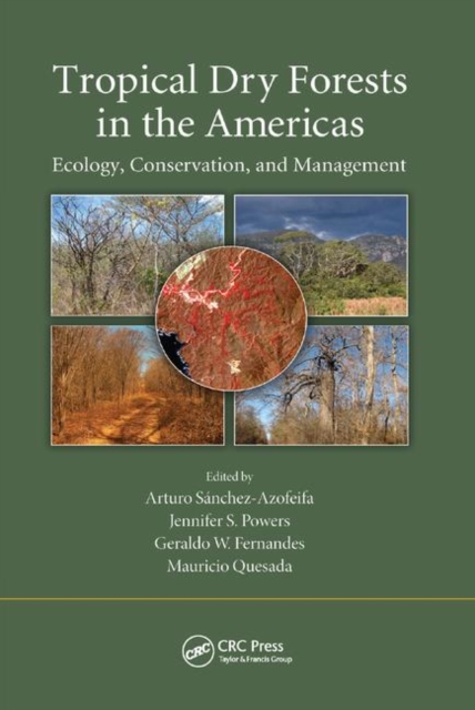 Tropical Dry Forests in the Americas : Ecology, Conservation, and Management, Paperback / softback Book