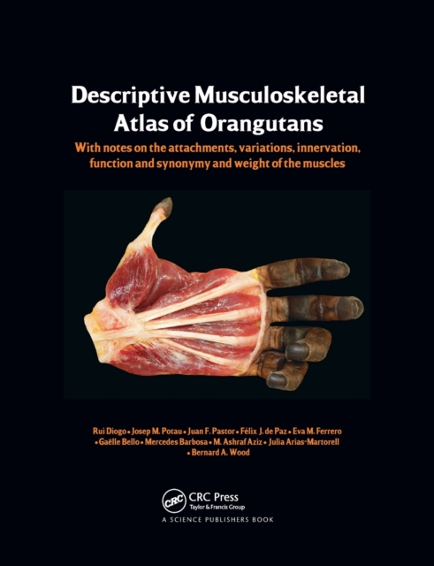 Photographic and Descriptive Musculoskeletal Atlas of Orangutans : with notes on the attachments, variations, innervations, function and synonymy and weight of the muscles, Paperback / softback Book