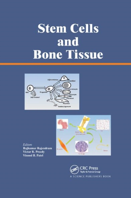 Stem Cells and Bone Tissue, Paperback / softback Book