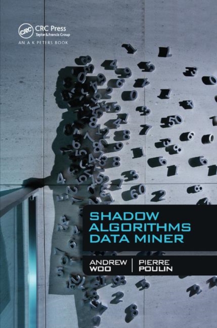 Shadow Algorithms Data Miner, Paperback / softback Book